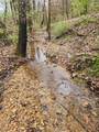 627 Stewart Hollow Rd - Photo 39