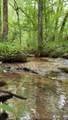 627 Stewart Hollow Rd - Photo 42