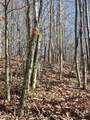 627 Stewart Hollow Rd - Photo 46