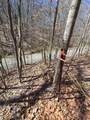 627 Stewart Hollow Rd - Photo 47