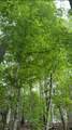 627 Stewart Hollow Rd - Photo 57