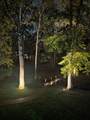 1507 Candlelit Cv - Photo 55