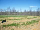 109 Daniel Lane - Photo 12