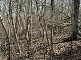 0 Poplar Springs Rd - Photo 12