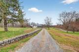 7255 Hall Rd - Photo 11