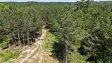 3149 Mcgee Rd - Photo 5