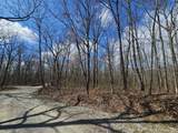 24 Blumont Drive - Photo 14