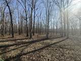 0 Summertown Hwy - Photo 6