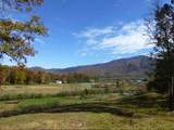 3702 Wears Valley Rd - Photo 2