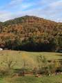 3702 Wears Valley Rd - Photo 4