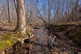 131 Turkey Ridge Rd - Photo 13