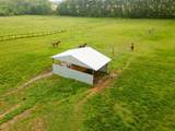 5535 Highway 161 - Photo 46