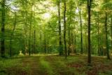 7556 Caney Fork Rd - Photo 21