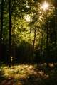 7556 Caney Fork Rd - Photo 26