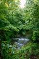 7556 Caney Fork Rd - Photo 39