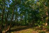 168 Maple Valley Ln - Photo 79