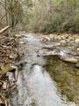 0 Soak Creek Ln - Photo 30