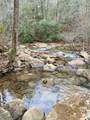 0 Soak Creek Ln - Photo 31