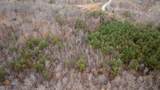 8072 Old Hohenwald Rd - Photo 6