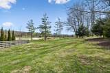 7305 Harlow Dr - Photo 13