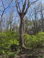 0 Shellsford Rd - Photo 3