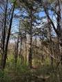 0 Shellsford Rd - Photo 6