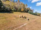 13581 Campbellsville Rd Lot 2 - Photo 8