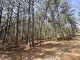 2076 Meditation Lane - Photo 12