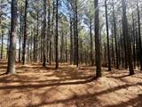 2076 Meditation Lane - Photo 8