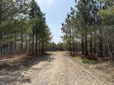 0 Hwy 231 - Photo 2