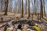 4770 Delina Rd - Photo 63