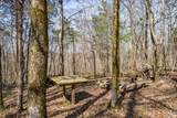 4770 Delina Rd - Photo 65