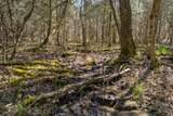 4770 Delina Rd - Photo 66