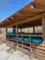 113 Shoreside Ct - Photo 41