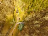 290 Hazel Huffines Ln - Photo 63