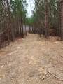 230 Juniper Dr - Photo 10