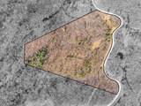 0 Soak Creek Ln - Photo 12