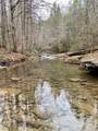 0 Soak Creek Ln - Photo 29
