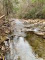 0 Soak Creek Ln - Photo 30