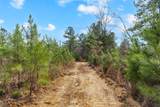 0 Jay Hutchings Road - Photo 11