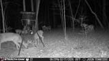 1780 Wolfhaven Rd - Photo 28