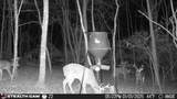 1780 Wolfhaven Rd - Photo 31