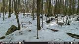 1780 Wolfhaven Rd - Photo 33