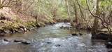 1780 Wolfhaven Rd - Photo 35