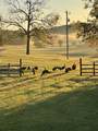 5946 Se Tater Peeler Rd - Photo 20