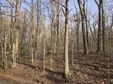 33 Rockcastle Shores - Photo 4
