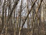33 Rockcastle Shores - Photo 5