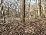 33 Rockcastle Shores - Photo 8