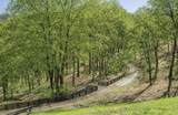 2183 S Berrys Chapel Rd - Photo 3