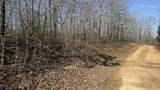 0 Pigpen Hollow Road - Photo 10